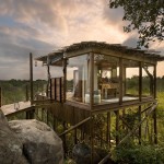 Treehotel-in-South-Africa-Lion-Sands-Kingston-Treehouse-002__880