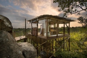 Treehotel-in-South-Africa-Lion-Sands-Kingston-Treehouse-002__880