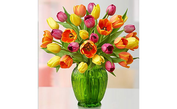 Assorted Tulips - 1800flowers