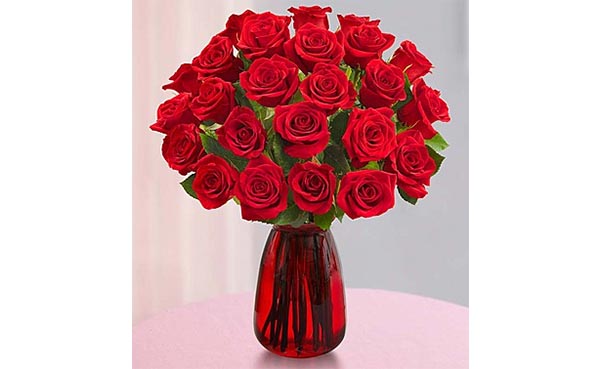 Red Roses: Buy 12, Get 12 Free