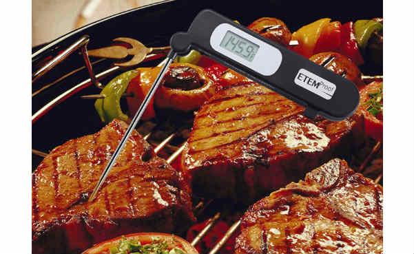 Etemproof Javelin Digital Food / Meat Thermometer