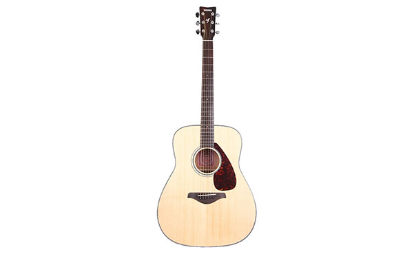 Amazon Guitar