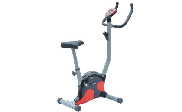 Soozier Stationary Exercise Bicycle