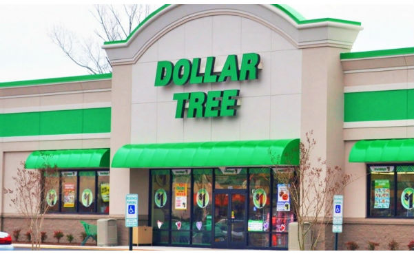 Dollar Tree Shopping Spree