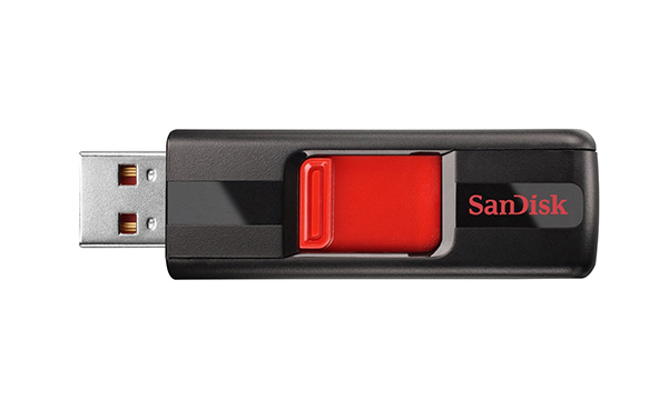 SanDisk Cruzer 64GB Flash Drive