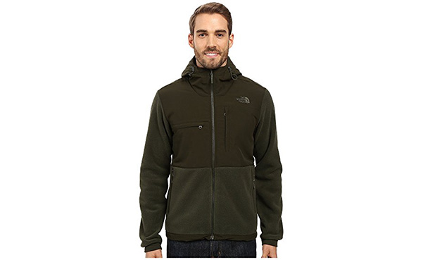 The North Face Denali 2 Hoodie