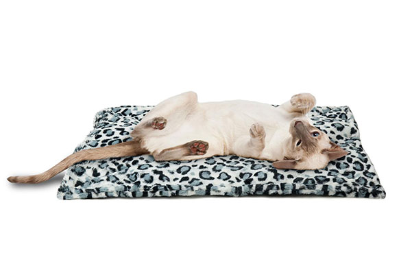 Thermal Self-Warming Quilted Pet Bed