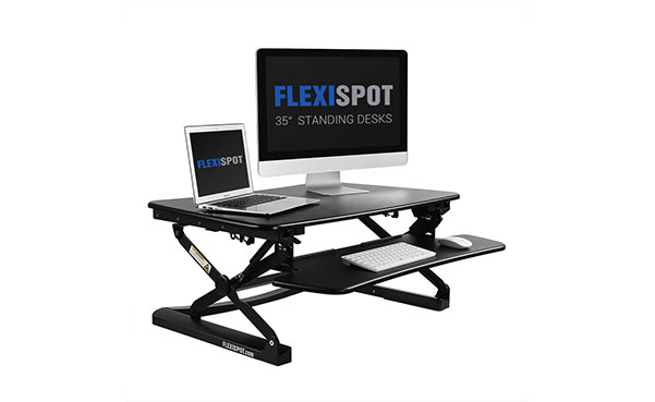 FlexiSpot Stand up Desk