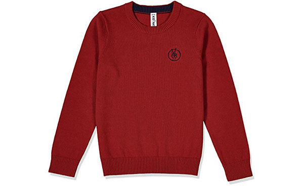 Kid Nation Kids' Pullover Basic Casual Sweater