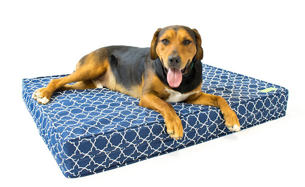 Memory Foam Orthopedic Dog Bed