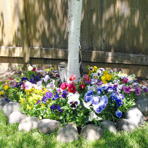 Gardening4Less Roll Out Flower Garden