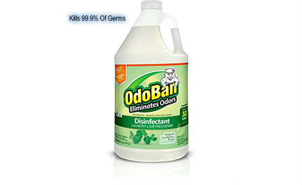 OdoBan Disinfectant Odor Eliminator and All Purpose Cleaner Concentrate