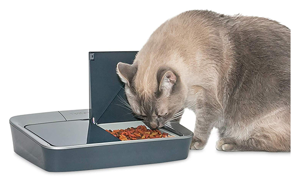 PetSafe Digital Two Meal Dog/Cat Feeder