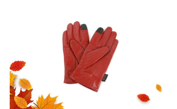 Women’s Touch Screen Leather Gloves Freebie