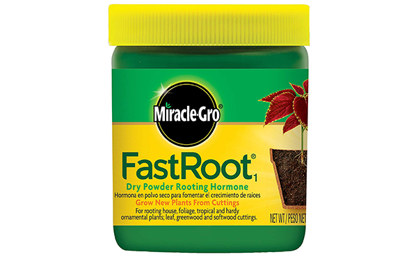 Miracle-Gro FastRoot Dry Powder Rooting Hormone Jar