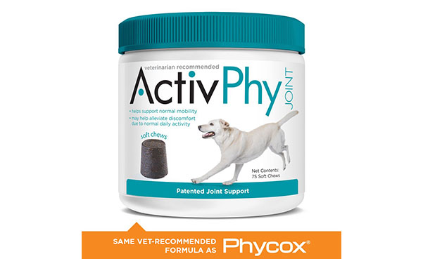 Activphy Joint Support Regular Soft Chews