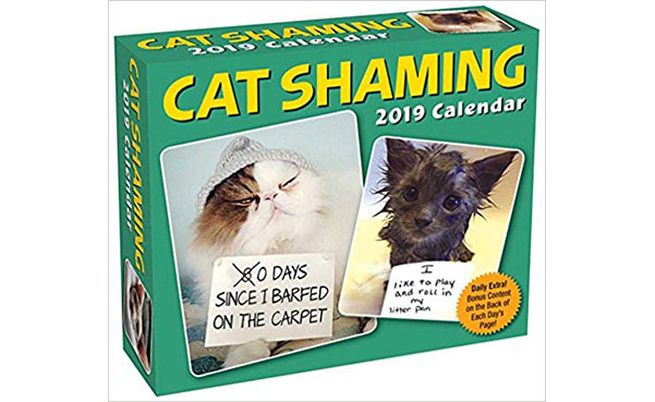 Cat Shaming 2019 Day-to-Day Calendar