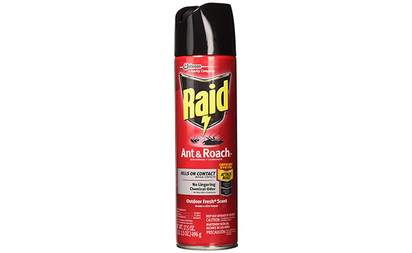 Raid Ant & Roach Insect Spray, 3 Pack