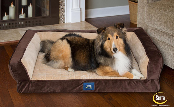 erta Ortho Foam Couch Style Bed for Pets