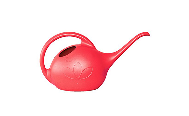 Novelty 1/2 Gallon Indoor Watering Can