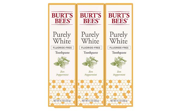 Burt's Bees Fluoride Free Toothpaste, 3 Count
