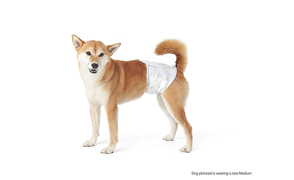 AmazonBasics Male Dog Wrap