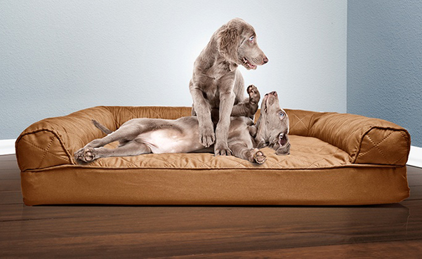 FurHaven Orthopedic Pet Dog Bed Mattress