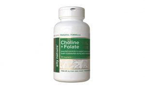 Prenatal Choline + Folate Supplement