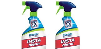Woolite INSTAclean Permanent Stain Remover, 22oz (Pack of 2), 21799