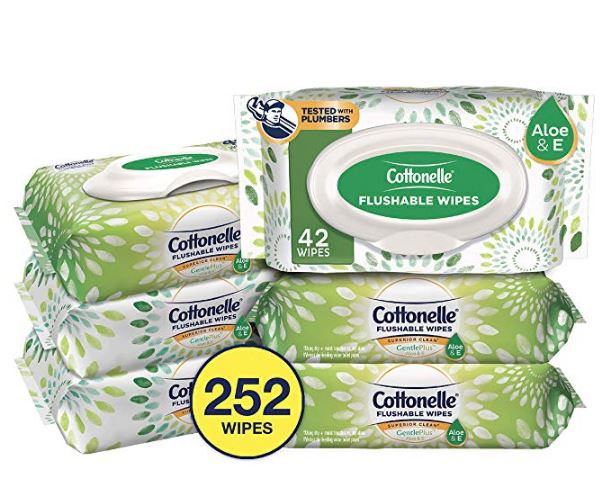 Cottonelle GentlePlus Flushable Wet Wipes with Aloe & Vitamin E, 6 Packs, 42 Wipes per Pack (252 Wipes Total)